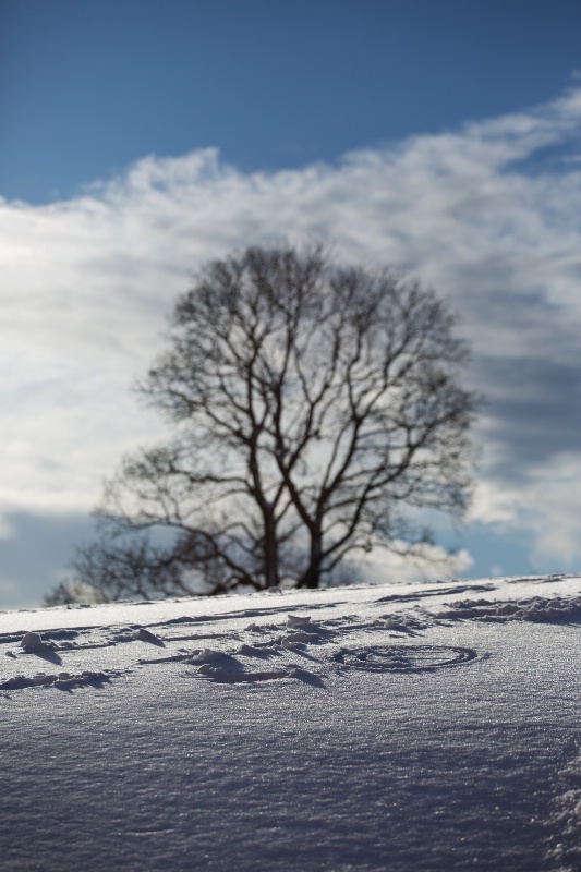 Snow Language - ID: 14831349 © Ilir Dugolli