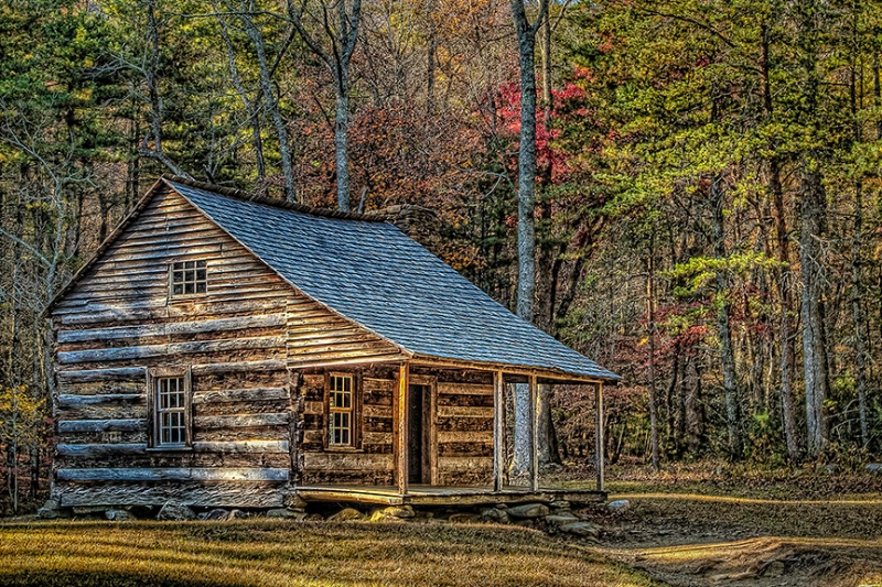 Rustic Cabin