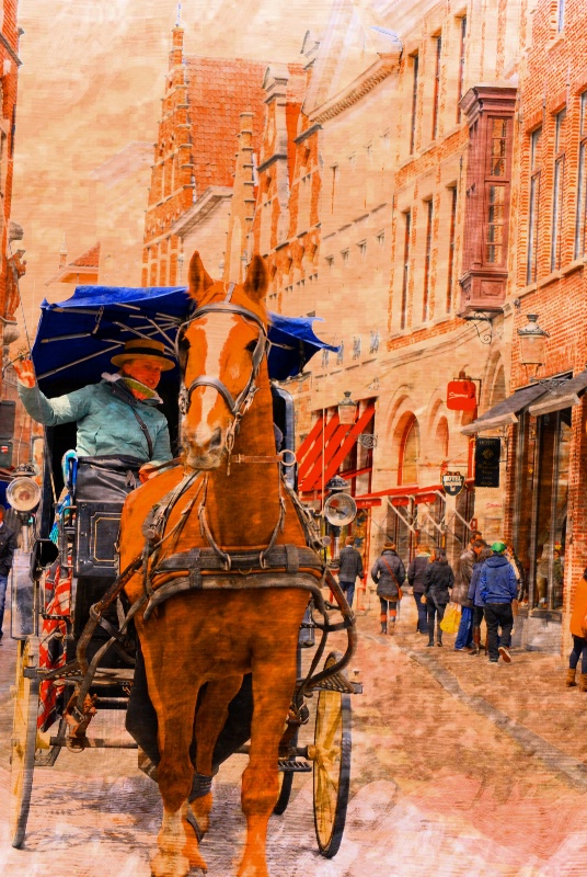 Horse and travel cart Brugge