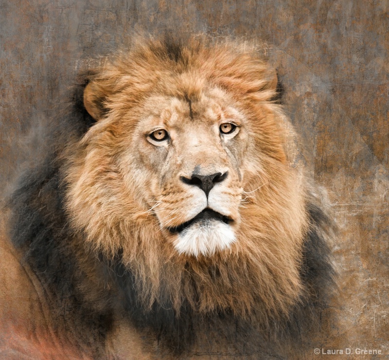 Kingly Portrait