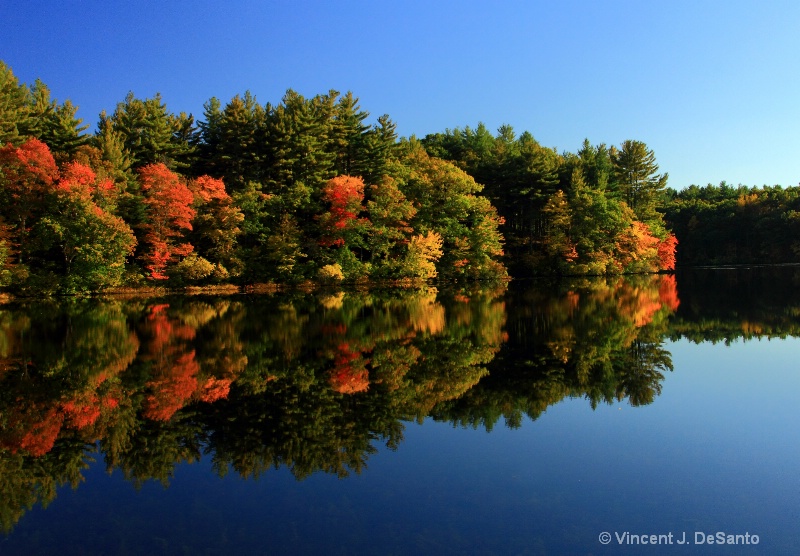 Autumn Reflection