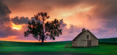 Summertime on the Plains