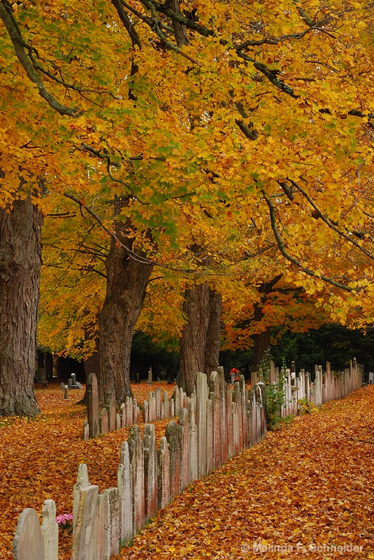 Cemetary in Autumn