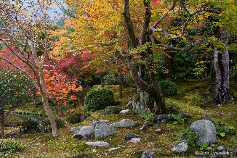 On the Hillside