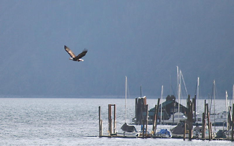 Fishing Expedition - ID: 14834956 © Jody A. Hatley