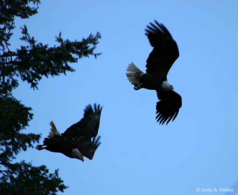 Time to go - ID: 14834966 © Jody A. Hatley