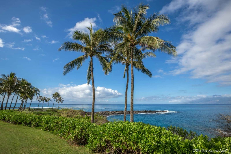 West Maui Shoreline