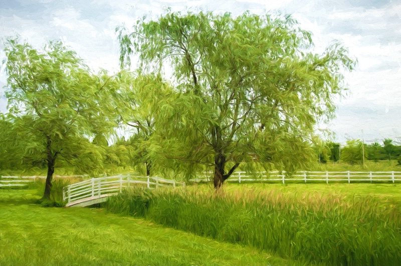 Serene country landscape