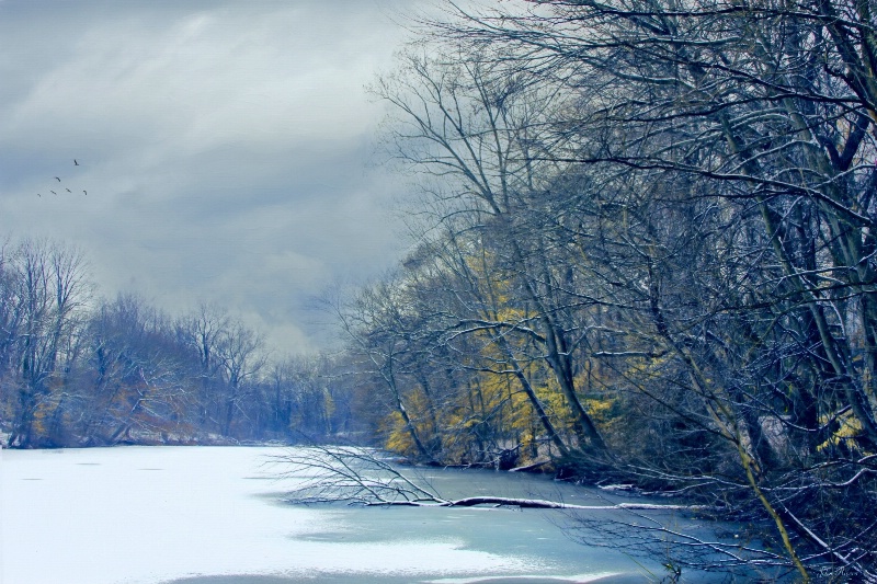 Frozen Pond