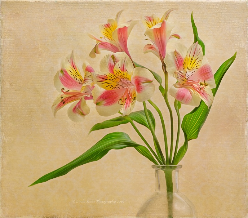 Dancing Lilies