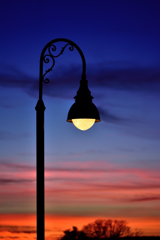 Streetlight at Dusk