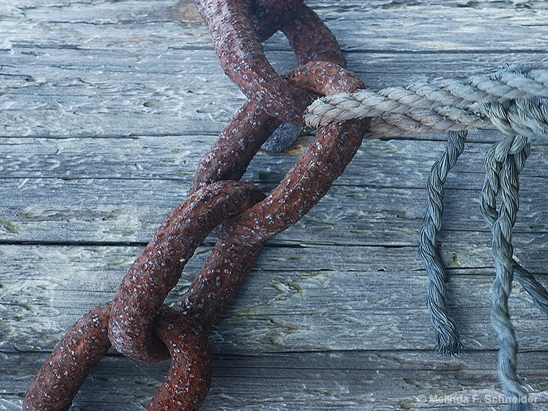 Marine Rope & Chain