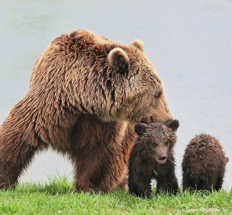 Keeping An Eye On The Kids