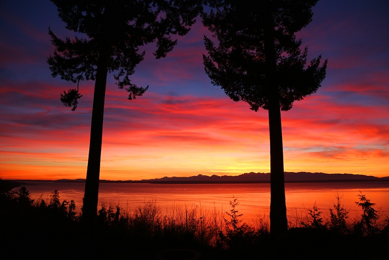 Gorgeous Sunset - ID: 14836098 © Janine Russell