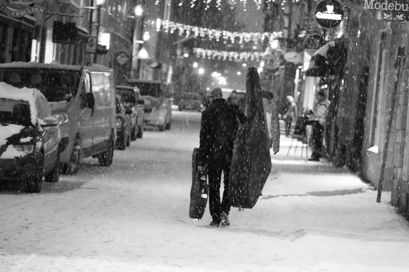 Snowy Showtime - ID: 14836174 © Ilir Dugolli
