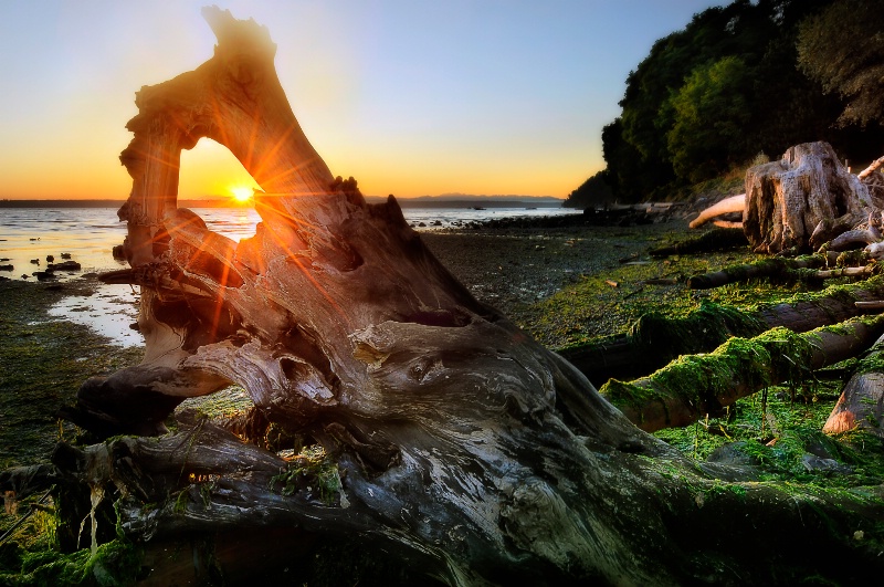 Des Moines Marina Beach Park, WA