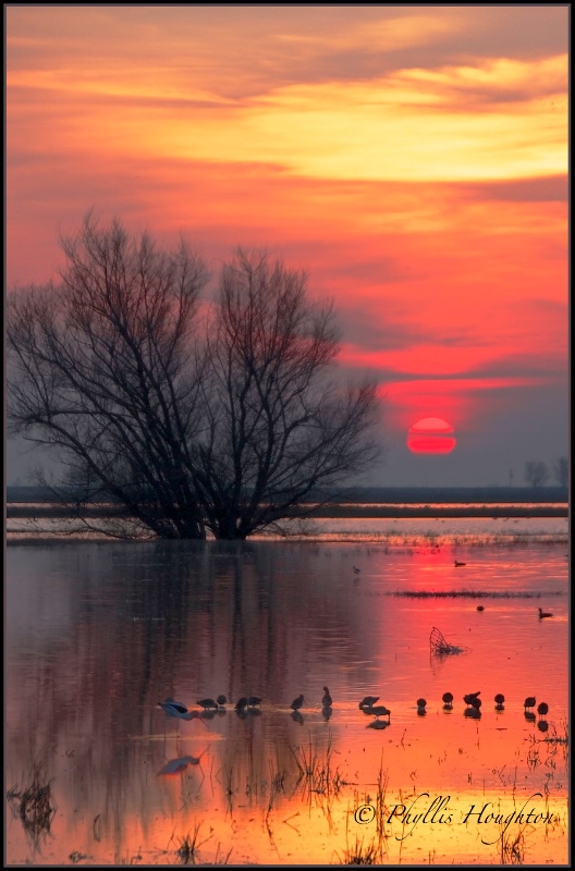 Wetlands Sunset
