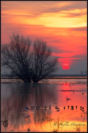 Wetlands Sunset