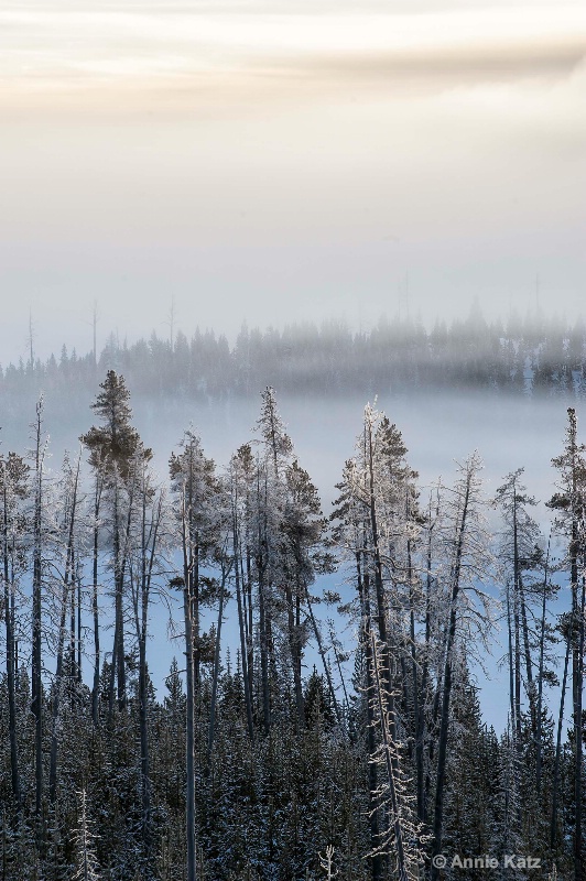 winter fog - ID: 14837166 © Annie Katz