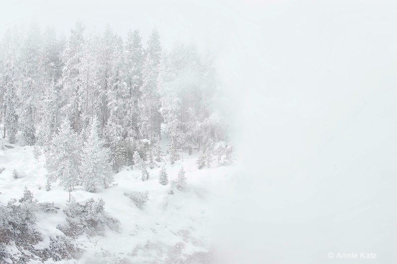 yellowstone winter fog - ID: 14837185 © Annie Katz