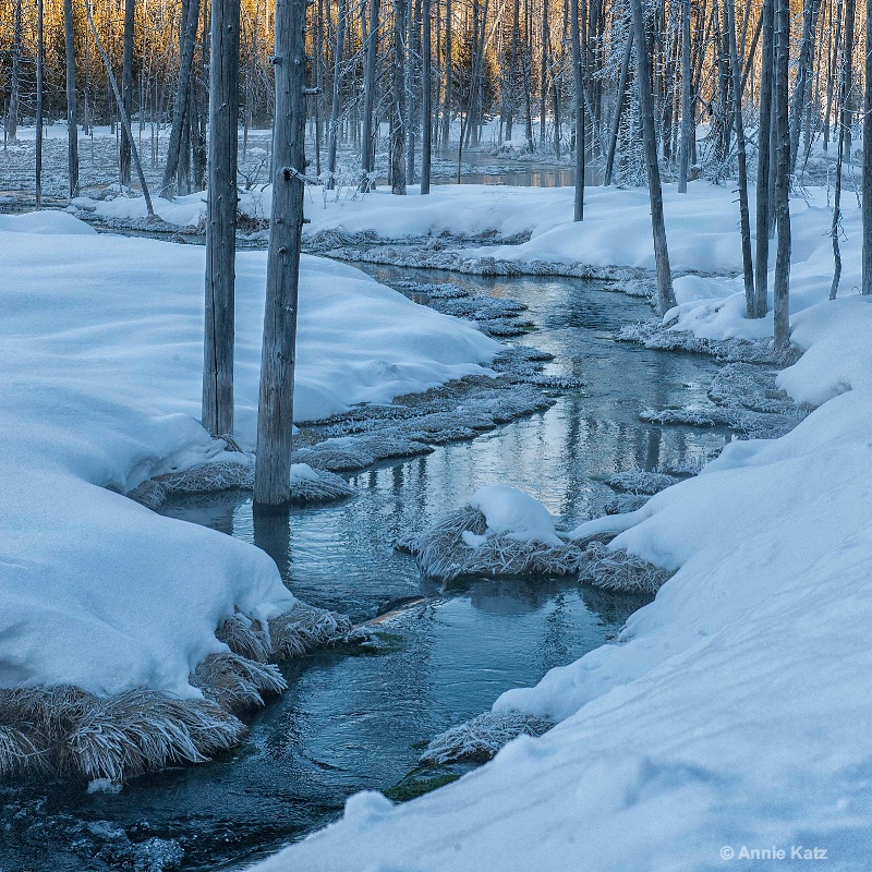 yellowstone winter stream - ID: 14837186 © Annie Katz