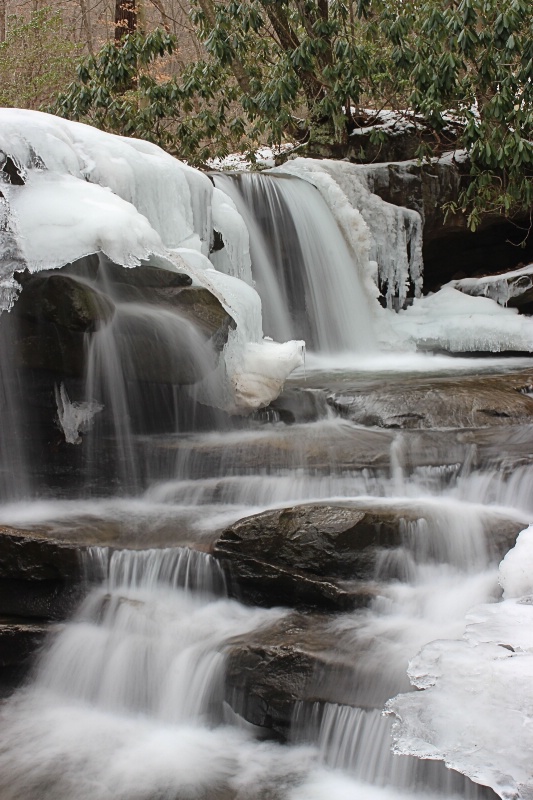 Jonathan Falls - ID: 14838226 © Tammy M. Anderson