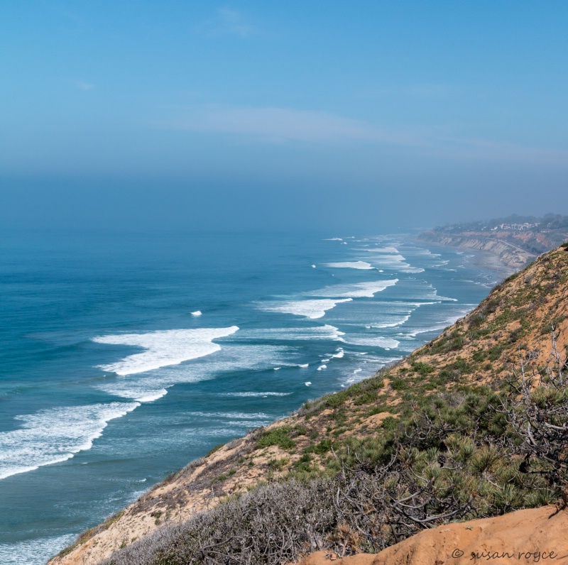 View from Torrey Pines