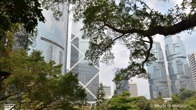 View From Hongkong Park - ID: 14840182 © Sibylle G. Mattern
