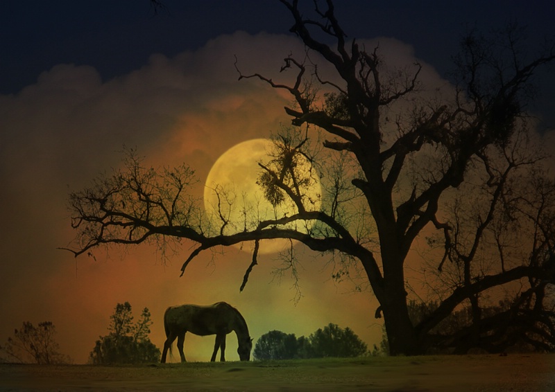 Horse and Moon