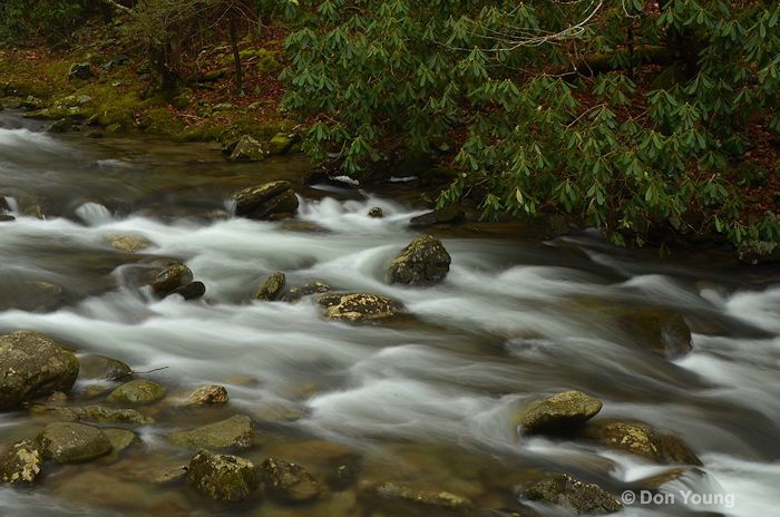 Smoky Mountain Stream