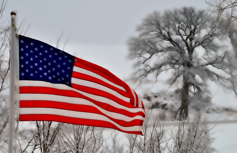 Old Glory In Winters Glory