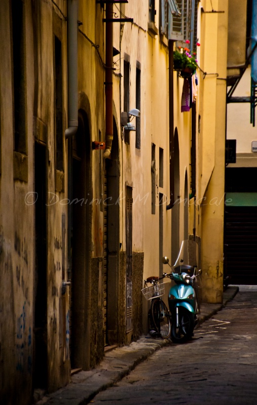 ~ ~ MOPED & BICYCLE IN THE ALLEY ~ ~