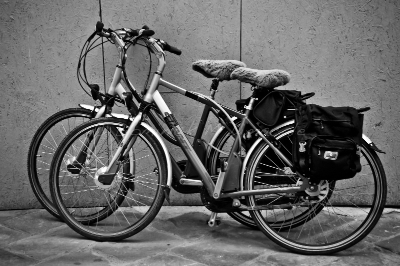 ~ ~ TWO BICYCLES ~ ~ 