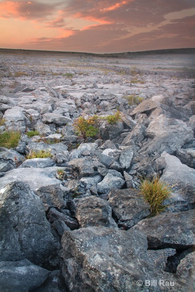 Burren rocks