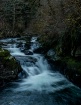 Sweet Creek