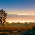 © John R. Grede PhotoID # 14842499: late fall sunrise