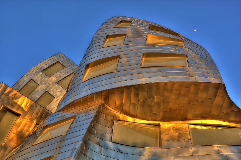 Gehry and Moon