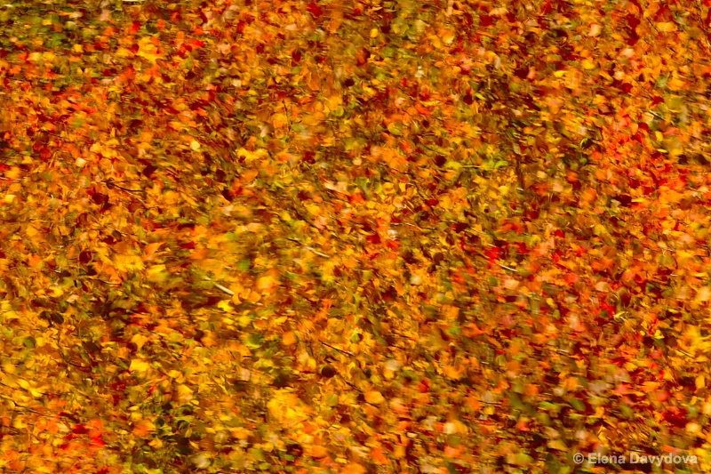 autumn tapestry