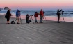 Row Of Phellos