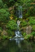 Japenese Gardens