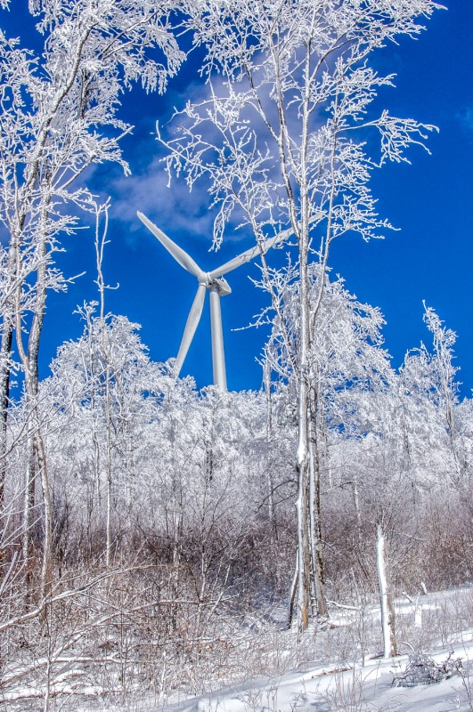 Camoflauged Windmill