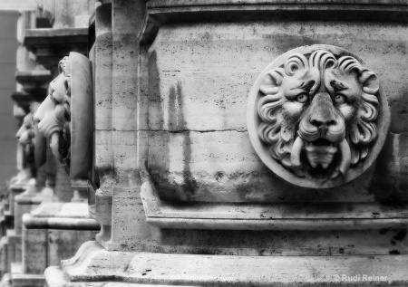 Lion eyes, Rome