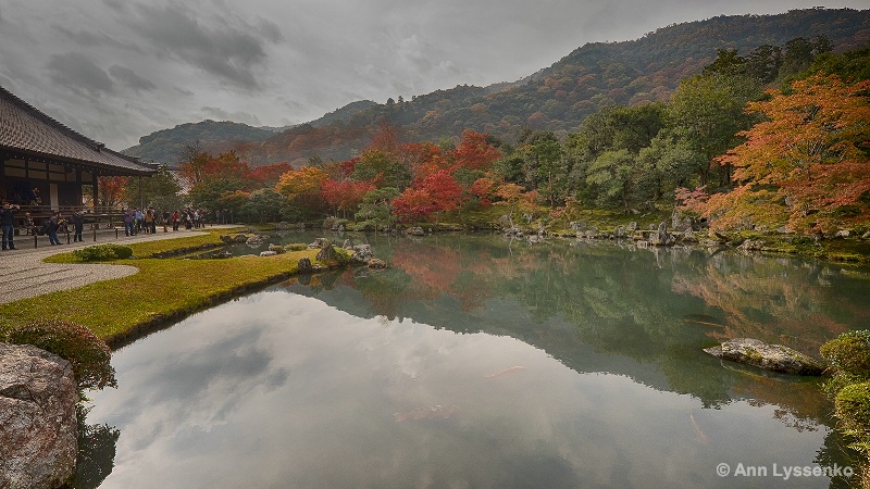 Peaceful Pond