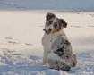 Snow Day