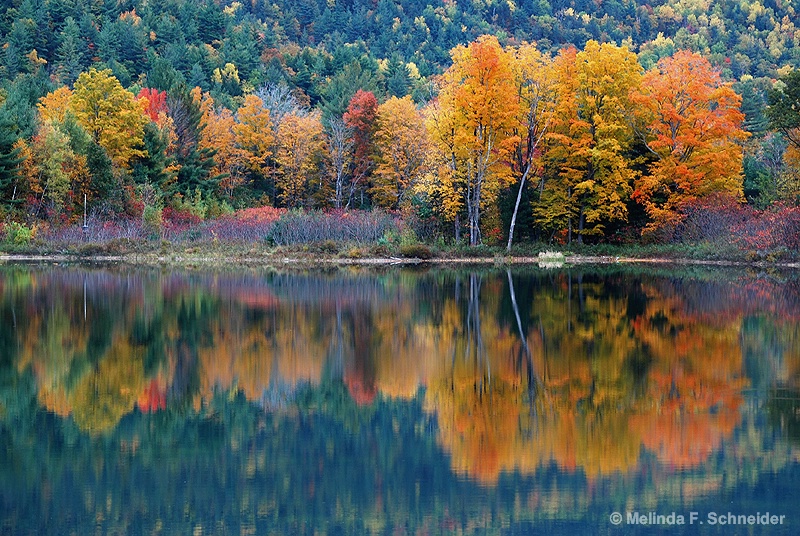 Fiery Autumn