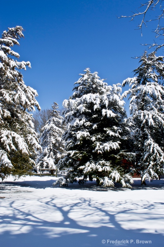 Blue Sky and Snow!