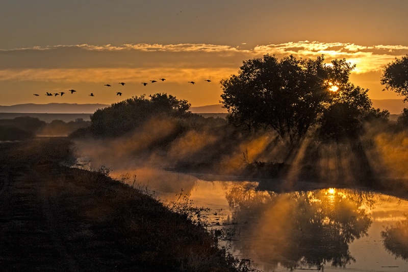 Sunrise at Bosque del Apache    