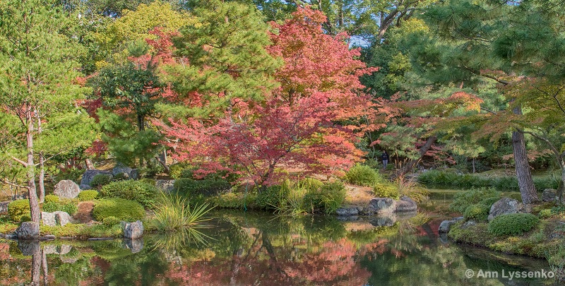 Water Mirror