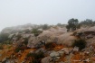 dsc 7845