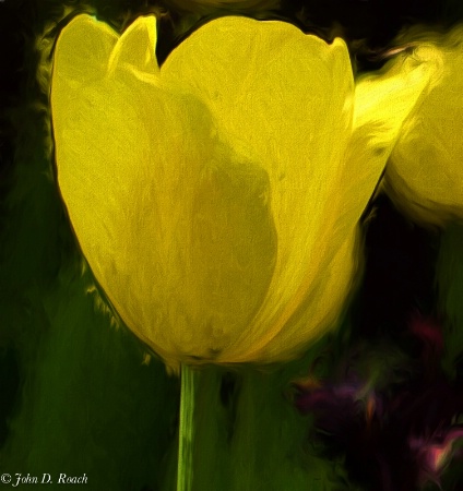 Yellow tulip on canvas